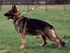 Small picture of V Dana von der Schiffslache
