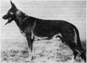 Klodo von Boxberg